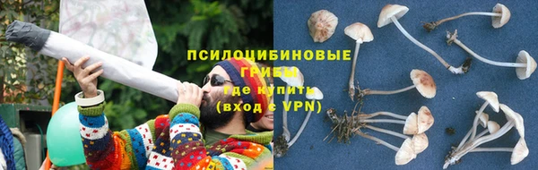 МДПВ Армянск