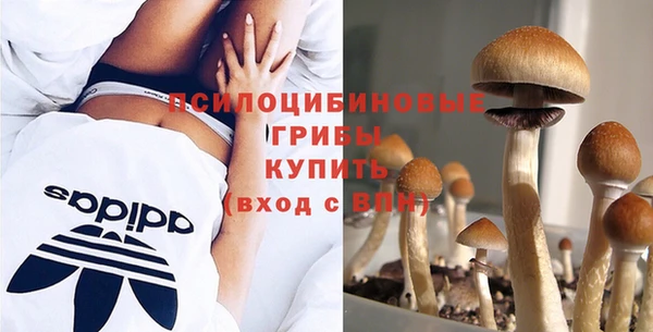 МДПВ Армянск
